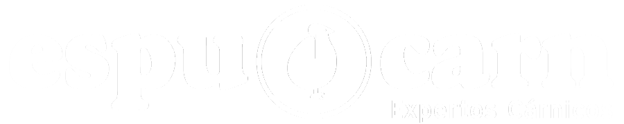 logo footer